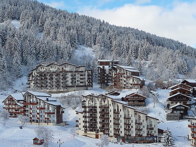 La Tania - agence immobiliere Lamy Vacances