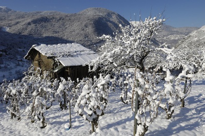Brides les Bains - Lamy Vacances